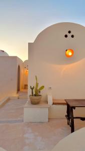 a room with a table and a potted plant at Dar Hallouma - WostelDjerba community in Djerba +9 photos