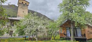 a house with a tower on top of a mountain at Cottage Ametapi in Mestia
