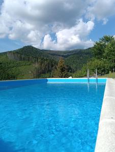 a swimming pool with a view of a mountain at magiy cotteg in Rozhanka Nizhnyaya