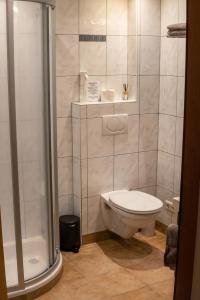 a bathroom with a toilet and a shower at Ferienwohnung Salvenblick in Söll