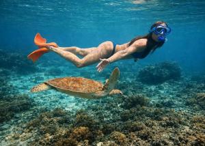 a woman swimming in the ocean next to a turtle at 1Zi Beachfront Resort in Paje