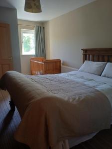 a bedroom with a large bed and a window at Ethan House in Killarney