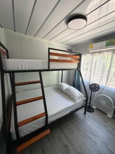 a bedroom with two bunk beds in a tiny house at Family Wolf - El Chorro in Paquera