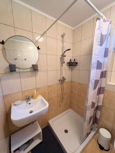 a bathroom with a sink and a shower at Apartma Zari in Marezige +18 photos
