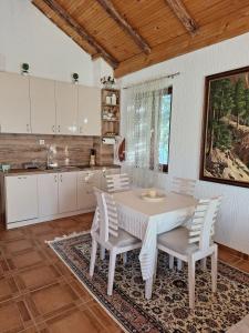 a kitchen with a table and chairs in a room at Small house in Danilovgrad