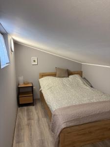 a small bedroom with a bed and a night stand at Samu Tanya in Gyula