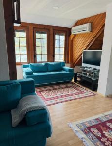 a living room with a blue couch and a tv at Apartments MLIN in Bihać
