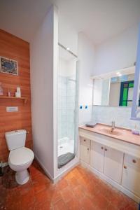 a bathroom with a toilet and a shower and a sink at La Tomette - Gîte Eco Responsable - Le charme de l'authentique Climatisé in Maury +53 photos