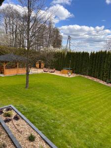 a green yard with a tree in the middle of it at BABA JAGA na szlaku in Nowa Słupia