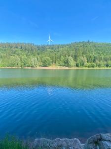 a view of a lake with a windmill in the background at Gemütliches Doppelzimmer mit Balkon und Saunaoption Nordschwarzwald in Simmersfeld