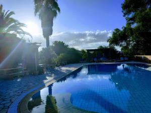 a large swimming pool with a palm tree in the background at Cozy 2BR Corfu – Apt 9 in Gouvia