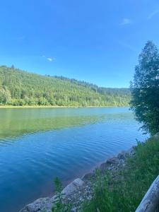 a view of a large body of water at Gemütliches Doppelzimmer mit Balkon und Saunaoption Nordschwarzwald in Simmersfeld