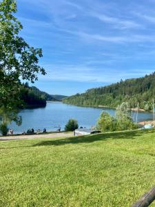 a view of a lake from a park at Gemütliches Doppelzimmer mit Balkon und Saunaoption Nordschwarzwald in Simmersfeld
