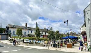 a group of people walking on a city street at Saint Patricks Wicklow in Wicklow