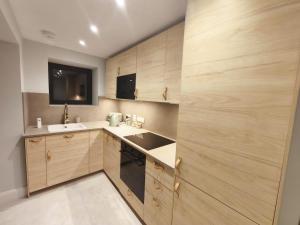 a kitchen with wooden cabinets and a sink at Saint Patricks Wicklow in Wicklow