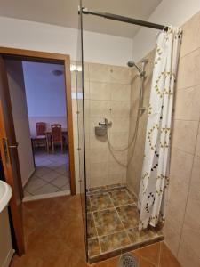 a bathroom with a shower with a glass door at Apartments Mali Raj in Vranjic +60 photos