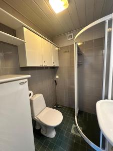 ein Badezimmer mit Toilette, Dusche und Waschbecken in der Unterkunft Airin in Imatra