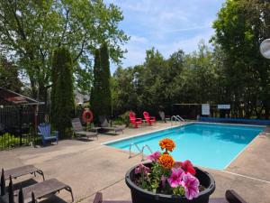 a swimming pool with a pot of flowers next to it at Lakeview Motel & Cottage in Kincardine