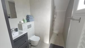 a white bathroom with a toilet and a sink at Le Cozy Cocon in Franqueville-Saint-Pierre