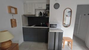 a small kitchen with a sink and a microwave at Le Cozy Cocon in Franqueville-Saint-Pierre +7 photos