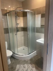 a bathroom with a shower with a toilet and a sink at Gregorek in Ostrowo +27 photos