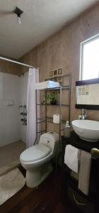 a bathroom with a toilet and a sink at Loft Armonía in Jardines del Valle in Guadalajara