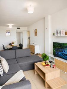 a living room with a couch and a tv at Horizon Santa Monica in Aguadulce