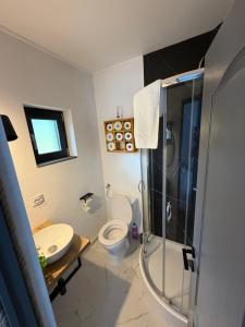 a bathroom with a shower and a toilet and a sink at Greystone Cabin in Măguri-Răcătău +40 photos