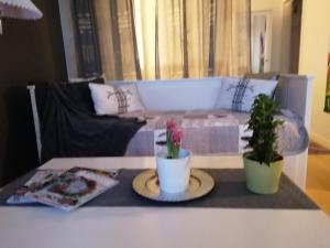 a living room with a couch and two potted plants at Cosy studio-apartment in the centre of Hudksvall #5 in Hudiksvall