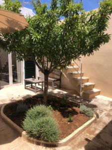 a tree and a bench next to a building at Casa Típica Ciutadella centro in Ciutadella