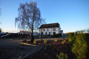 an old house with a tree in front of it at Gästehaus Brinkmann am Moor in Spenge