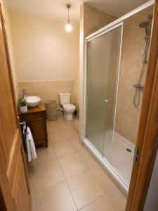 a bathroom with a shower and a toilet and a sink at La Ferme des Coquelicots in Miraumont