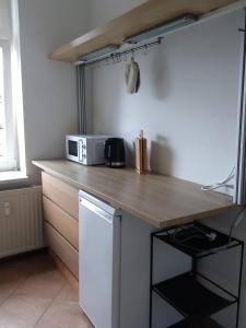 a kitchen with a counter top with a microwave at Apartment Zur Bauhütte, WLAN in Hohenstein-Ernstthal