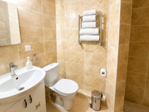 a bathroom with a toilet and a sink at Hotel Three Korony in Skhidnitsa +42 photos