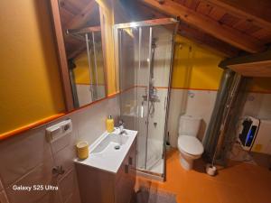 a bathroom with a shower and a sink and a toilet at La casa de arriba in Ourense +13 photos