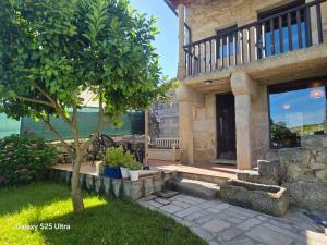 a house with a tree in the yard at La casa de arriba in Ourense