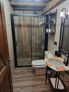 a bathroom with a shower and a toilet and a sink at Apartamentos EL Wala in Hervás