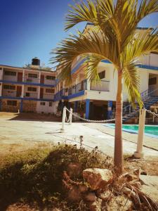 a palm tree in front of a building at Hotel Caleta Bor Acapulco in Acapulco