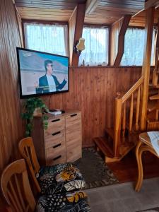 a living room with a flat screen tv on a wooden wall at U Cecylii in Rowy