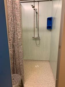 a shower with a shower curtain in a bathroom at Hagen Camping Mini hus in Kjerrvika +69 photos