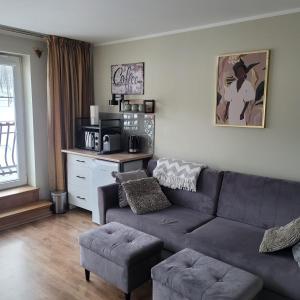 a living room with a couch and a microwave at Słoneczne piętro w Kolbudach in Kolbudy