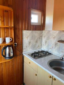 a kitchen with a stove and a sink in it at Silk Way in Ureki