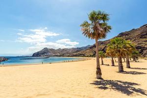 a group of palm trees on a sandy beach at Candela 2 en candelaria in Candelaria