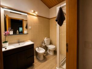 a bathroom with a toilet and a sink and a shower at Casa dos Laia in Sobreira Formosa +22 photos