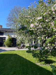 a house with a flowering tree in the yard at Villa Matilda in Uusikaupunki