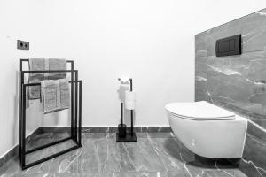 a bathroom with a toilet and towels in it at Apartmány Michelle in Dolní Dunajovice +31 photos
