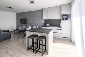 a kitchen and living room with a table and chairs at Apartmány Michelle in Dolní Dunajovice