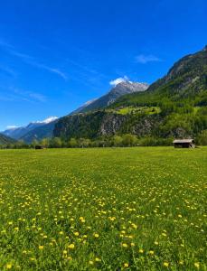 a field of flowers with mountains in the background at ONO Apartments in Längenfeld