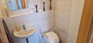 a small bathroom with a sink and a toilet at Ferienwohnung Kannemann in Herzberg am Harz