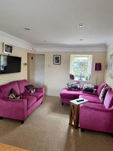 a living room with two purple couches and a tv at Pegs Cottage in Clonmel